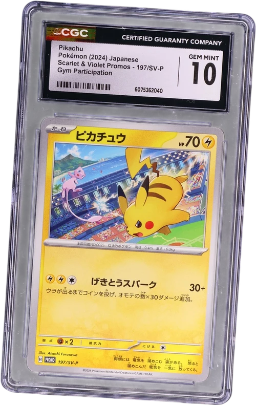 2024 Pokemon Scarlet & Violet Promos Japanese 197/SV-P Pikachu Gym Participation