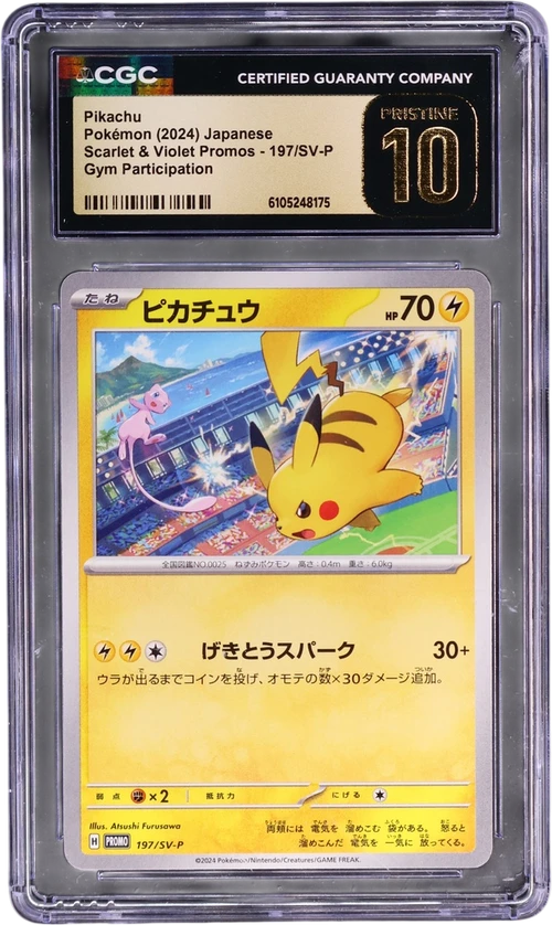 2024 Pokemon Scarlet & Violet Promos Japanese 197/SV-P Pikachu Gym Participation
