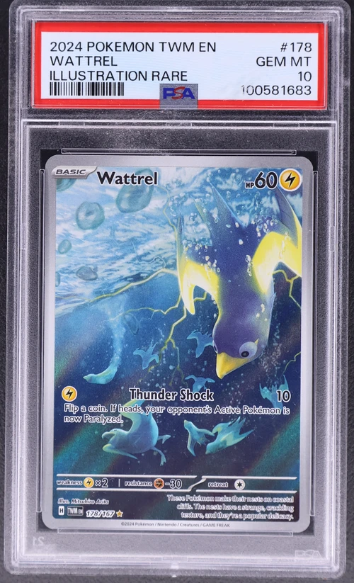 2024 Pokemon Twm En-Twilight Masquerade #178 Wattrel Illustration Rare