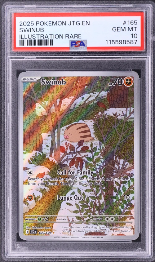 2025 Pokemon Jtg En-Journey Together #165 Swinub Illustration Rare