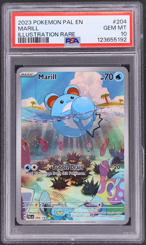 2023 Pokemon Pal En-Paldea Evolved #204 Marill Illustration Rare
