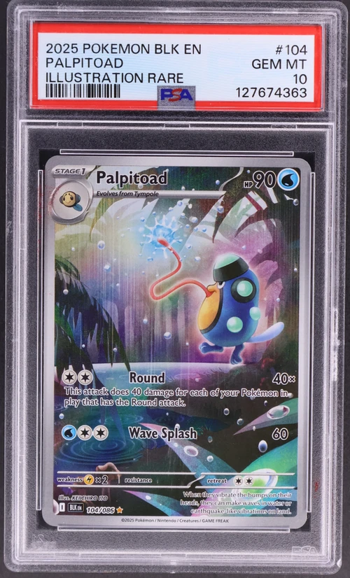 2025 Pokemon Blk En-Black Bolt #104 Palpitoad Illustration Rare