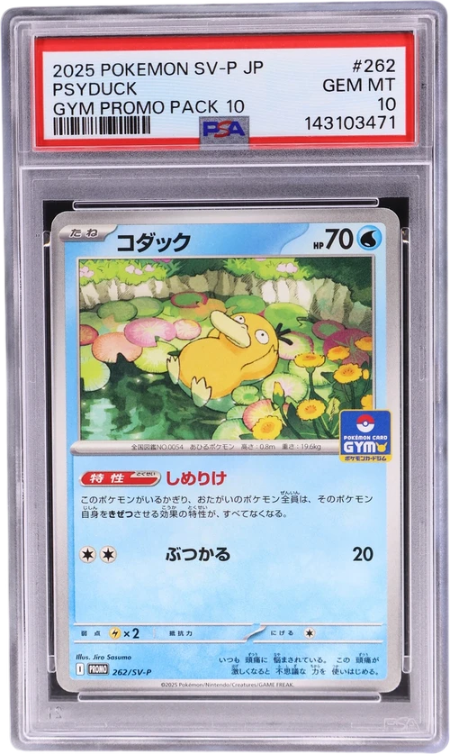 2025 Pokemon Japanese Sv-P Promo #262 Psyduck Gym Promo Pack 10