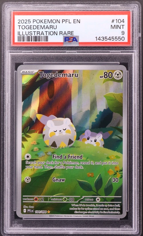 2025 Pokemon Pfl En-Phantasmal Flames #104 Togedemaru Illustration Rare