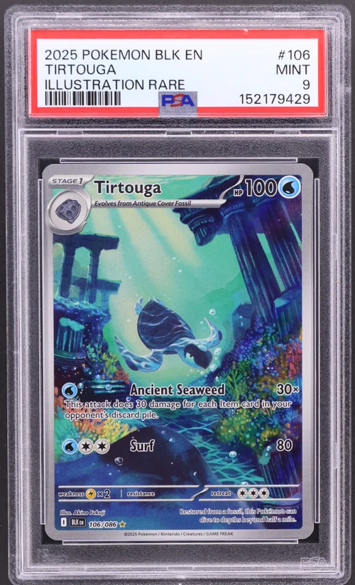 2025 Pokemon Blk En-Black Bolt #106 Tirtouga Illustration Rare